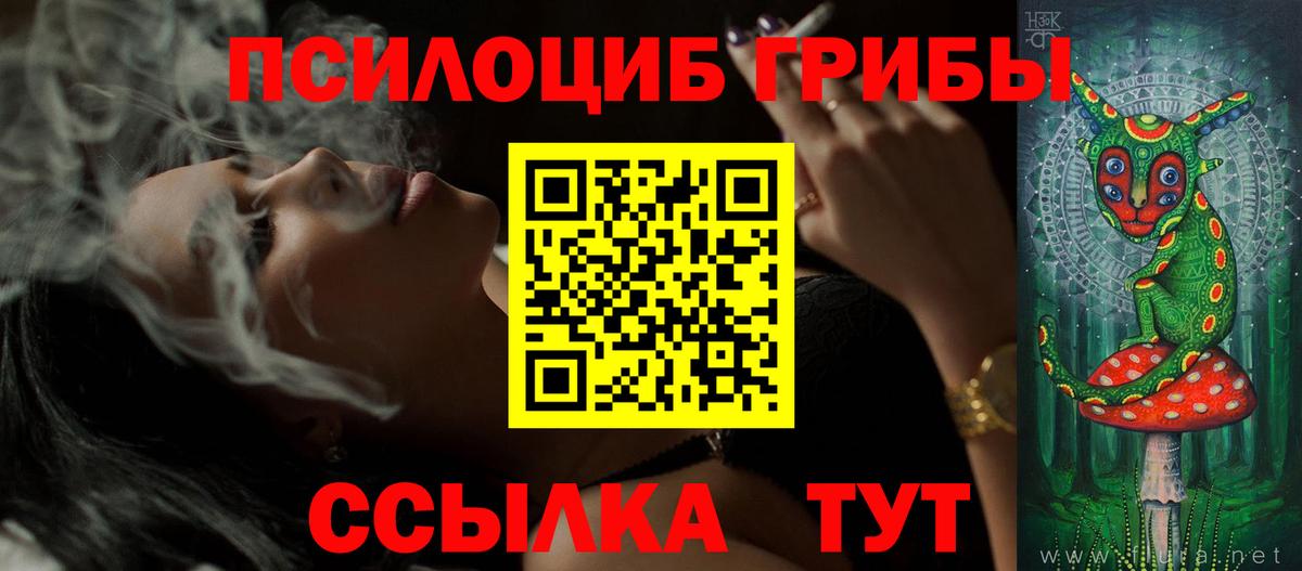 закладка  Вход с VPN  Серов  Галлюциногенные грибы мицелий 